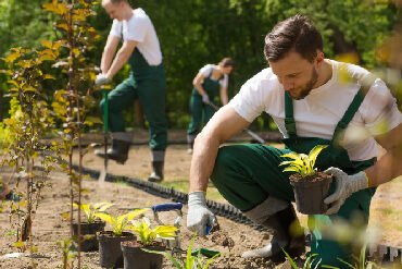 How to Choose the Right Landscaping Company in Florida